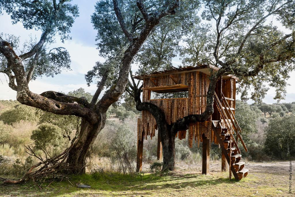 Eco-Lodge En La Reserva Privada Campanarios De Azaba - Proyecto De Conservacion Espeja Eksteriør billede