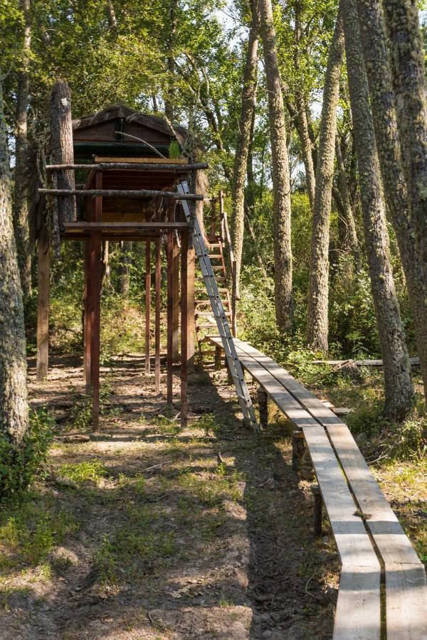 Eco-Lodge En La Reserva Privada Campanarios De Azaba - Proyecto De Conservacion Espeja Eksteriør billede