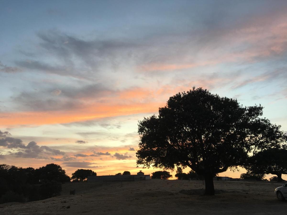 Eco-Lodge En La Reserva Privada Campanarios De Azaba - Proyecto De Conservacion Espeja Eksteriør billede