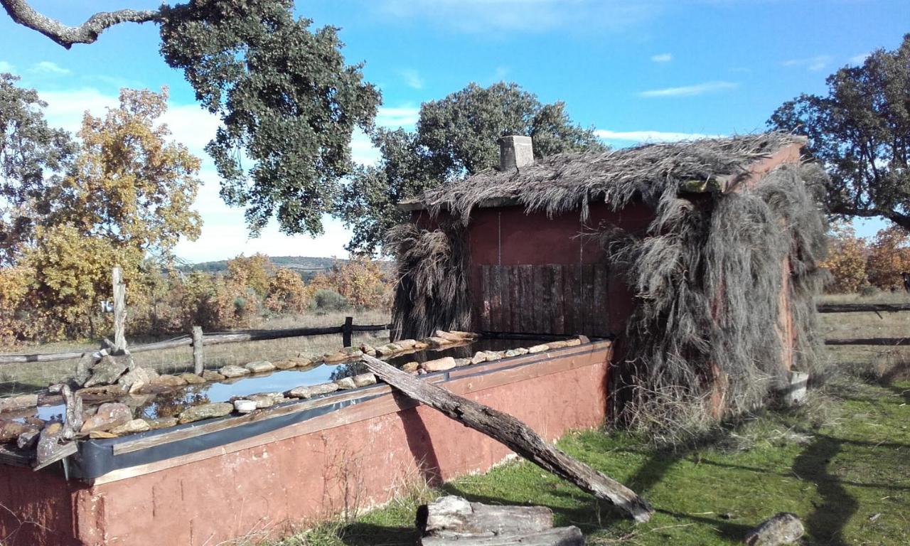 Eco-Lodge En La Reserva Privada Campanarios De Azaba - Proyecto De Conservacion Espeja Eksteriør billede